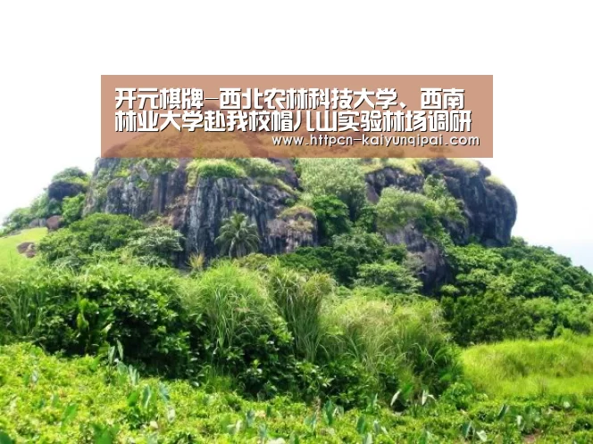 开元棋牌-西北农林科技大学、西南林业大学赴我校帽儿山实验林场调研(图2) 开元棋牌