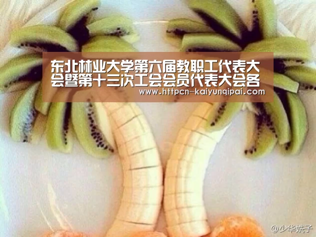 东北林业大学第六届教职工代表大会暨第十三次工会会员代表大会各代表团进行分组讨论-开元棋牌试玩(图1) 开元棋牌